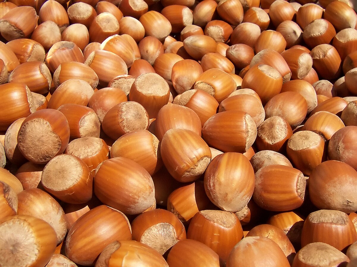 Hazelnut cream